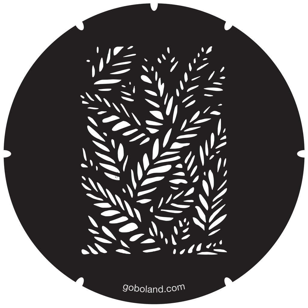 2 260 028 - Fern